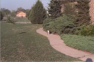 small_9400 1026 cew family, flowersImg0055.webp